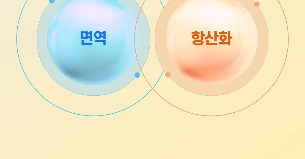 [올영단독기획] 대웅제약 에너씨슬 퍼펙트샷 이뮨+ 8개입 (8일분) 상세페이지 20